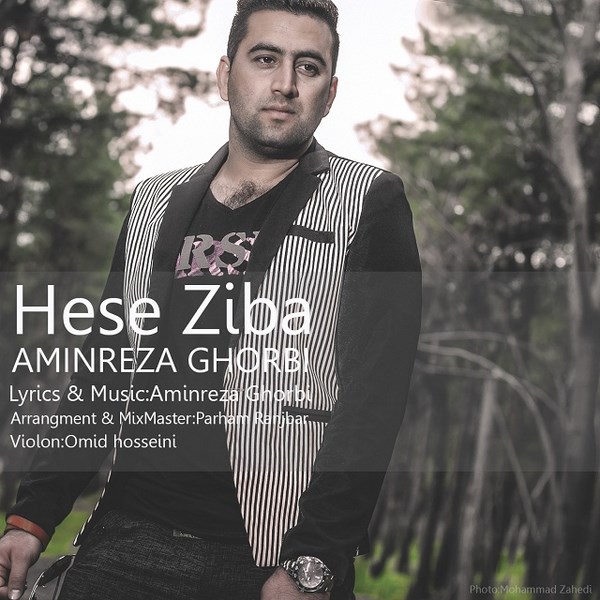 Aminreza Ghorbi - Hese Ziba