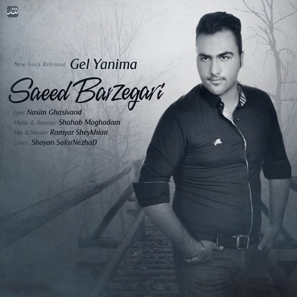Saeed Barzegari - Gel Yanima