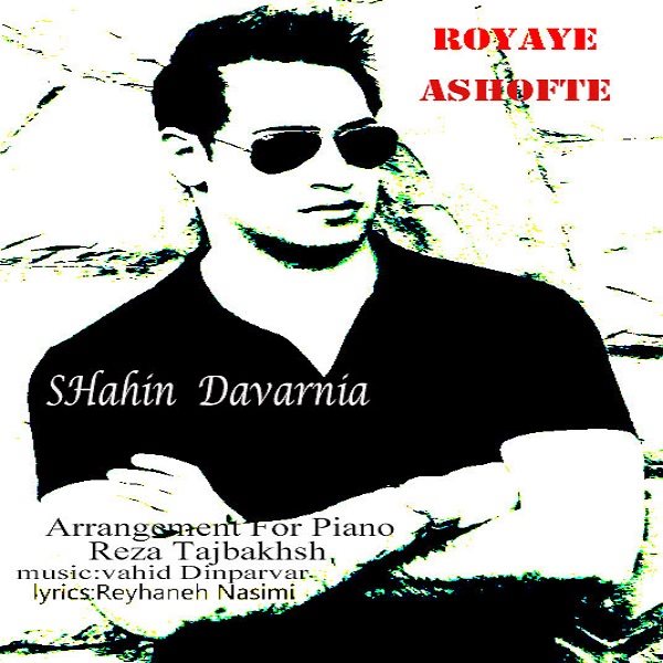 Shahin Davarnia - Royaye Ashofteh