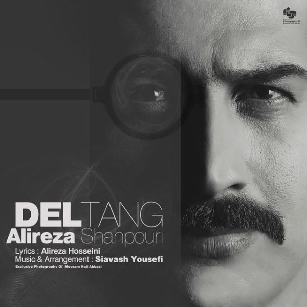 Alireza Shahpouri - Deltang