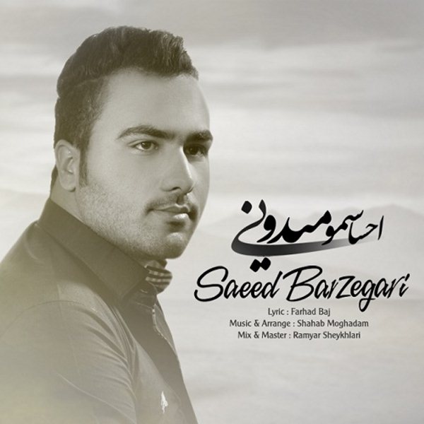 Saeed Barzegari - Ehsasamo Midooni
