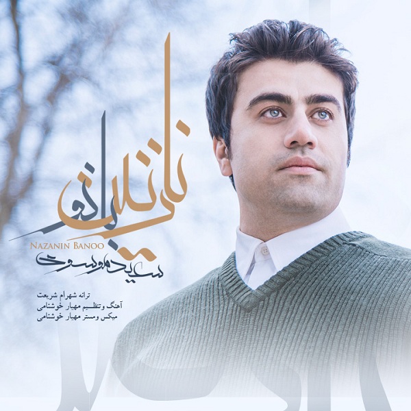 Saeed Mousavi - 'Nazanin Banou'