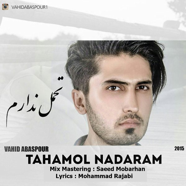Vahid Abaspour - 'Tahamol Nadaram'