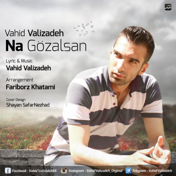 Vahid Valizadeh - 'Na Gozalsan'