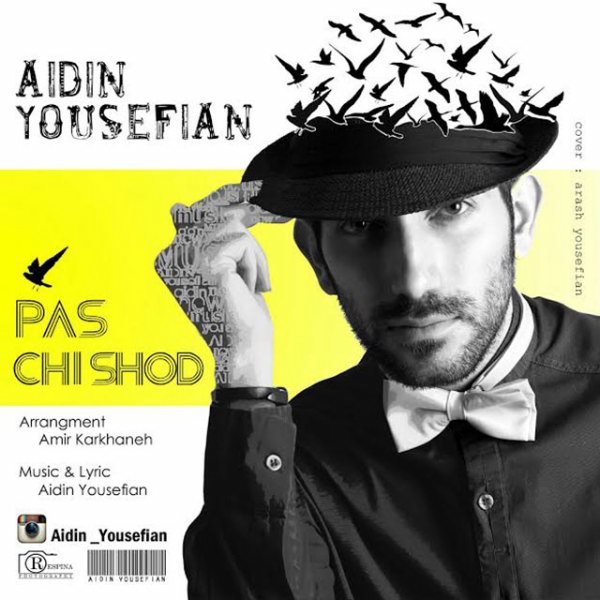 Aidin Yousefian - 'Pas Chi Shod'