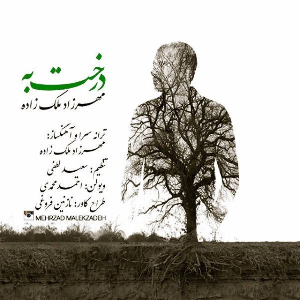 Mehrzad Malekzadeh - 'Derakhte Beh'