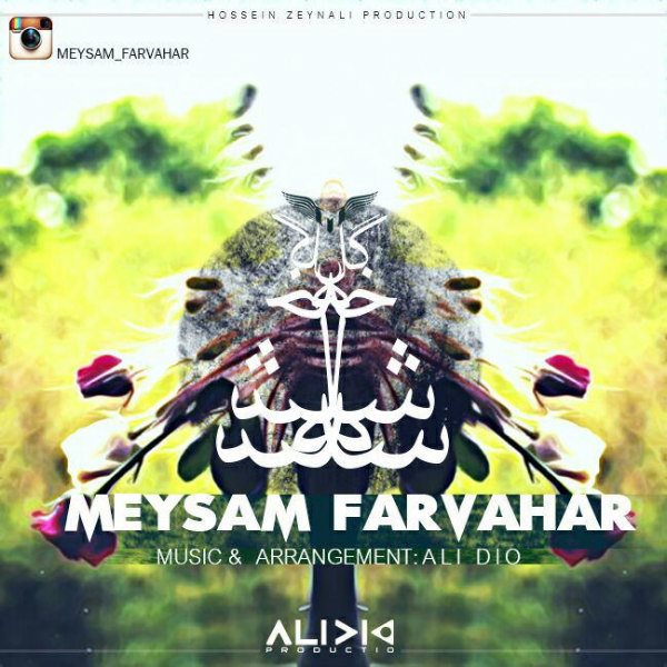 Meysam Farvahar - '3 Shakhe Gol'