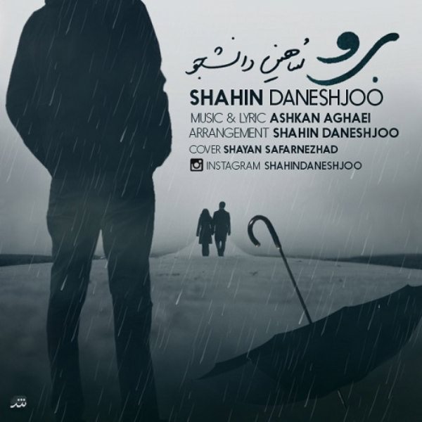 Shahin Daneshjoo - 'Boro'