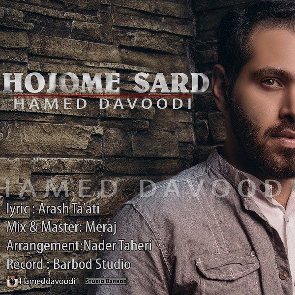 Hamed Davoodi - 'Hojoome Sard'