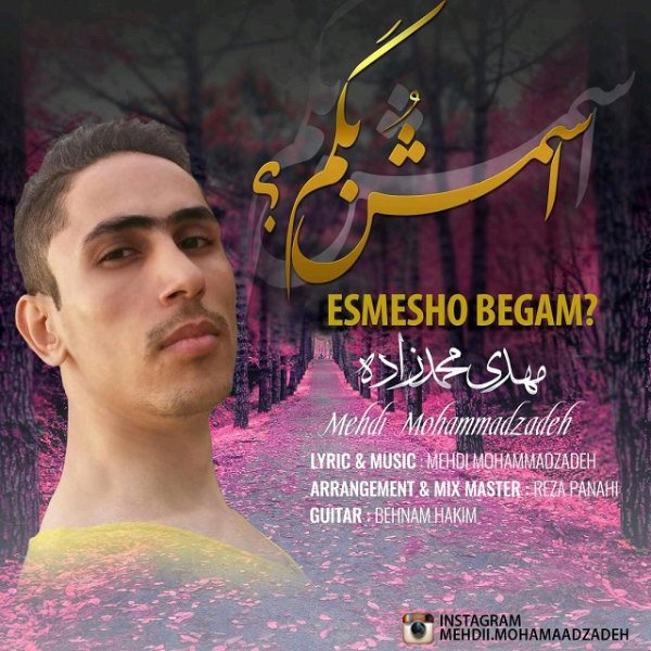 Mehdi Mohammadzadeh - 'Esmesho Begam'