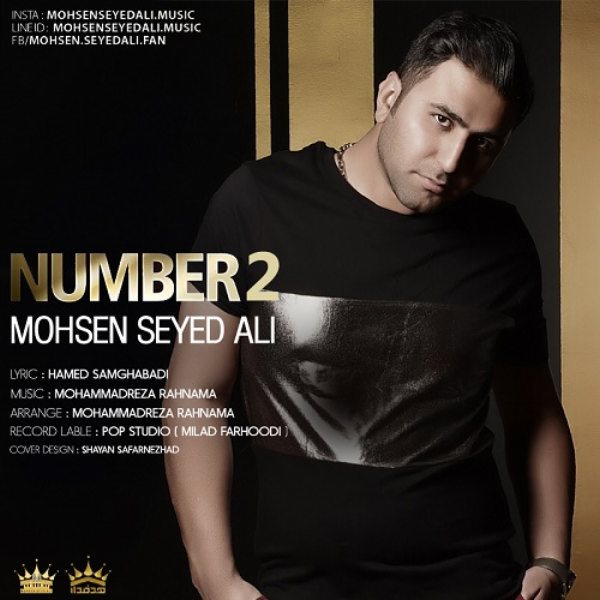 Mohsen Seyed Ali - 'Number 2'