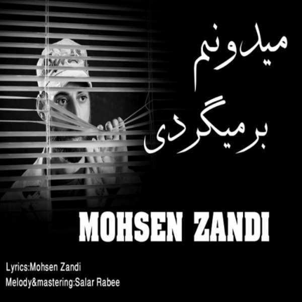 Mohsen Zandi - Midoonam Barmigardi