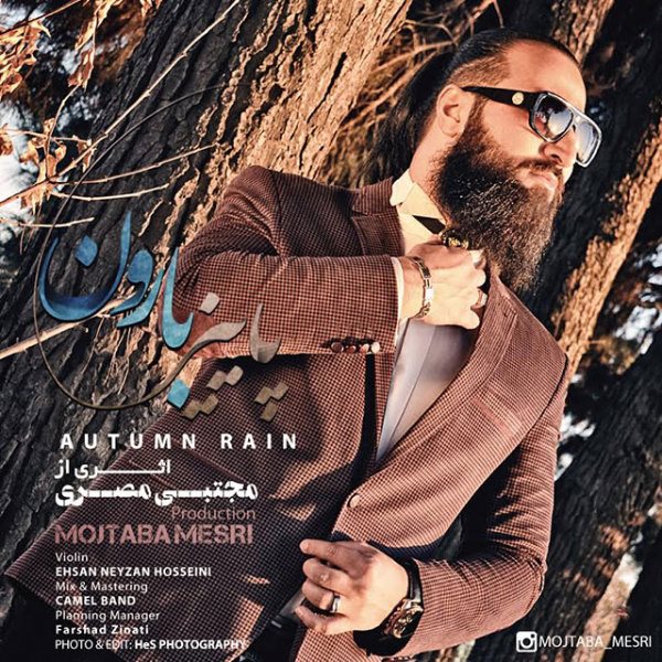 Mojtaba Mesri - 'Autumn Rain'