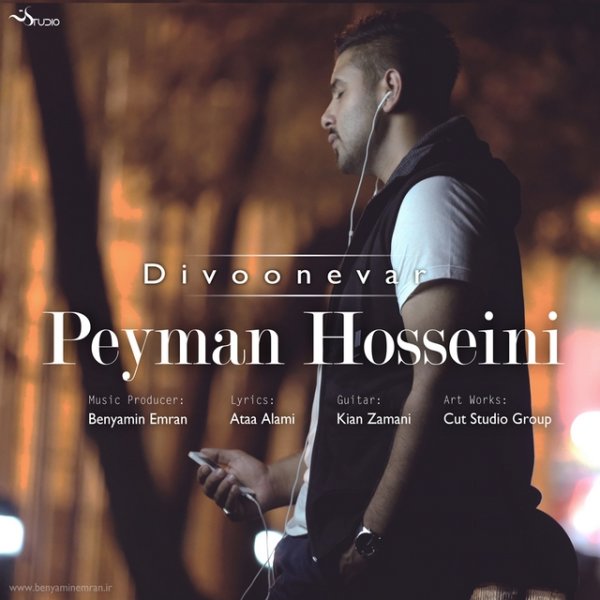 Peyman Hosseini - 'Divoonevar'