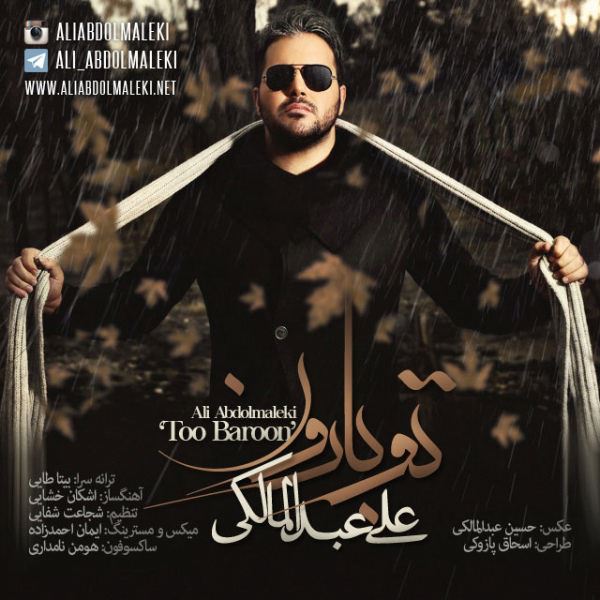 Ali Abdolmaleki - 'Too Baroon'