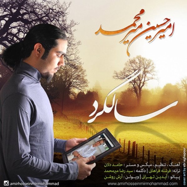 Amir Hossein Mir Mohammad - 'Salgard'