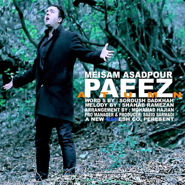 Meisam Asadpour - 'Paeez'