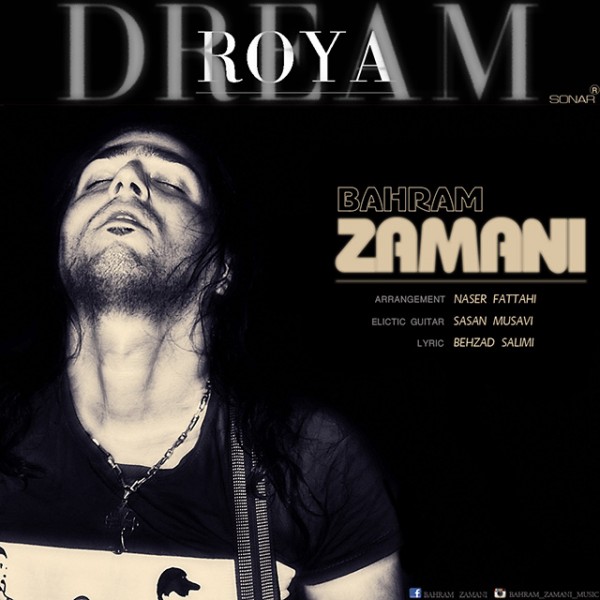 Bahram Zamani - Roya