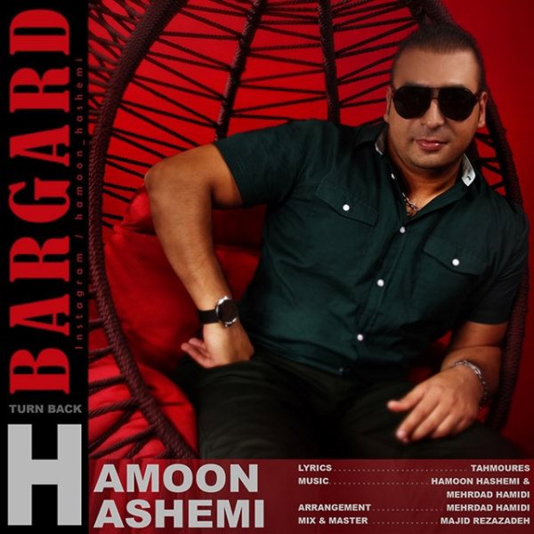 Hamoon Hashemi - Bargard
