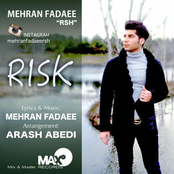 Mehran Fadaee - Risk