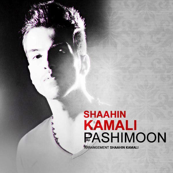 Shaahin Kamali - Pashimoon