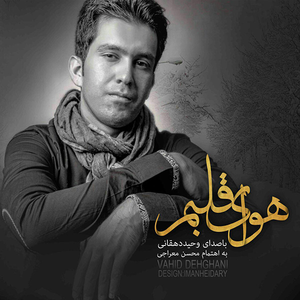 Vahid Dehghani - Irane Man