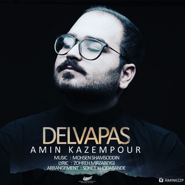 Amin Kazempour - 'Delvapas'