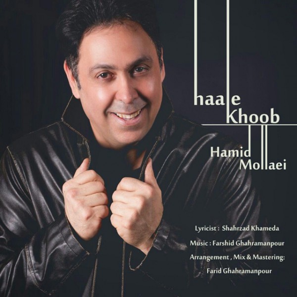 Hamid Molaei - 'Haale Khoob'