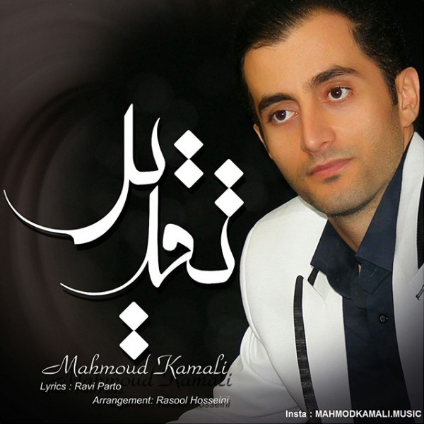Mahmoud Kamali - 'Taghdir'