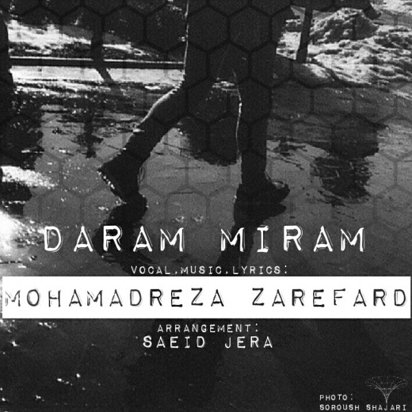 Mohamadreza Zarefard - 'Daram Miram'