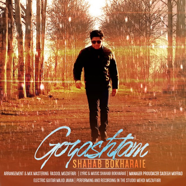 Shahab Bokharaei - 'Gozashtam'