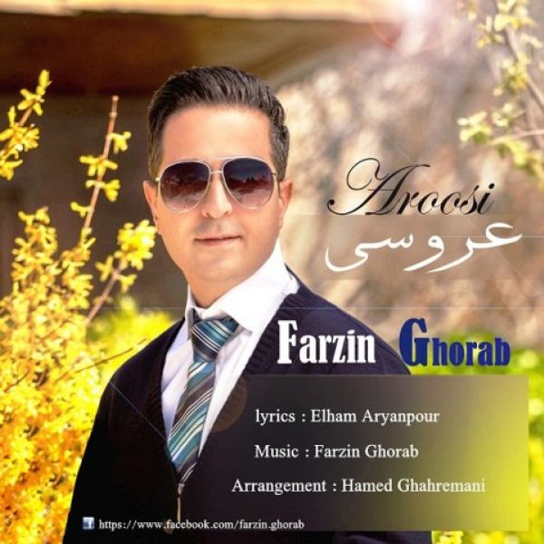 Farzin Ghorab - 'Aroosi'