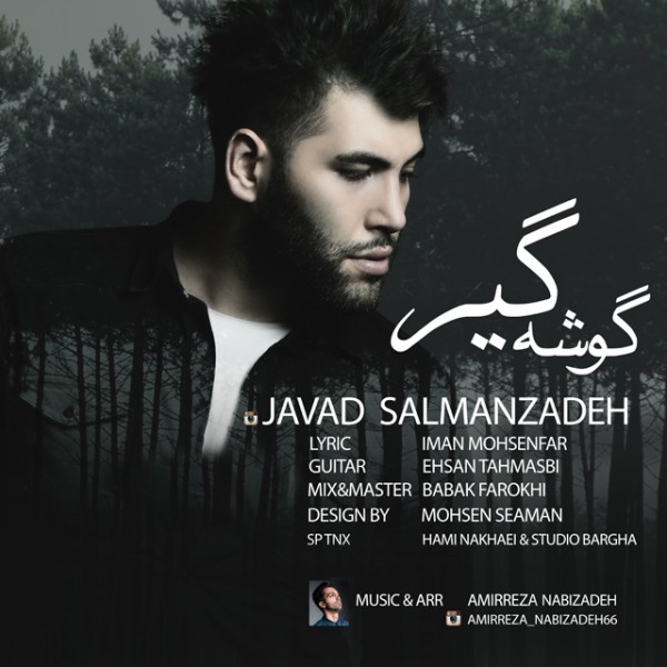 Javad Salmanzadeh - Gooshe Gir