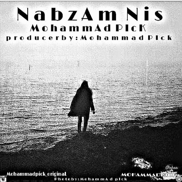 Mohamad Pick - Nabzam Nist