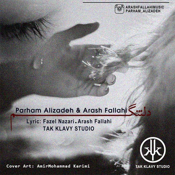 Parham Alizadeh & Arash Fallahi - Deltangam
