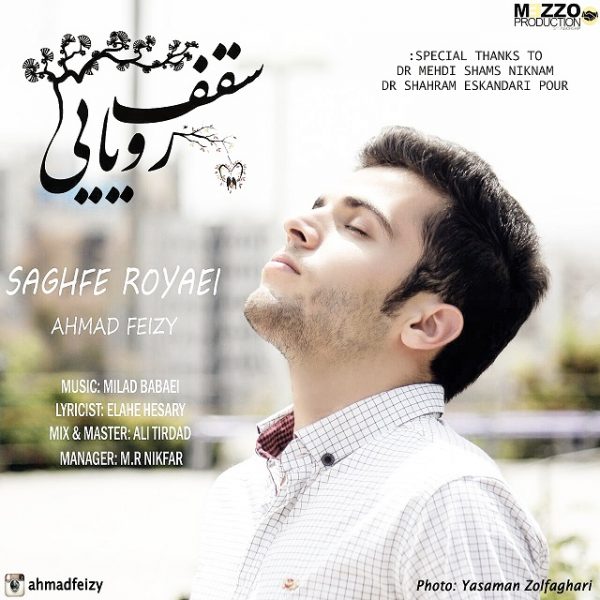 Ahmad Feizy - 'Saghfe Royaei'