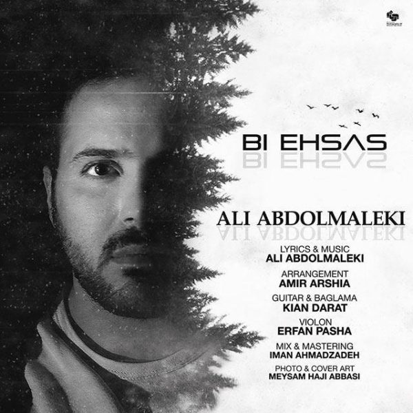 Ali Abdolmaleki - 'Bi Ehsas'