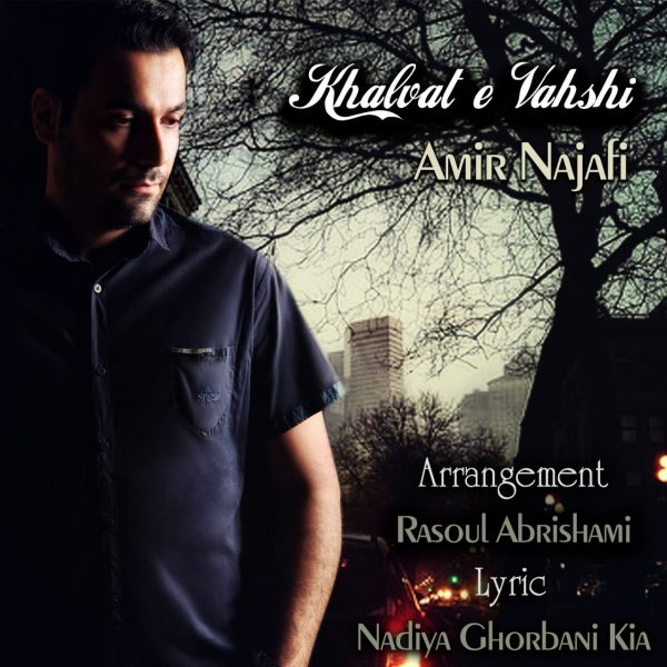 Amir Najafi - 'Khalvate Vahshi'
