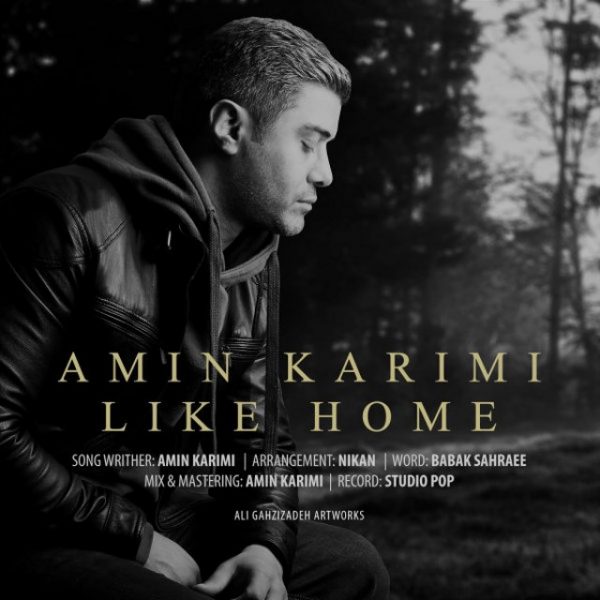 Amin Karimi - 'Like Home'