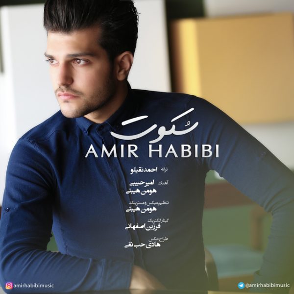Amir Habibi - 'Sokoot'