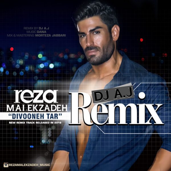 Reza Malekzadeh - 'Divoonetar (Remix)'