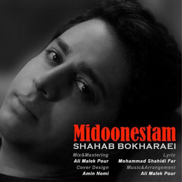 Shahab Bokharaei - 'Midoonestam'