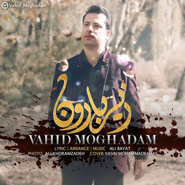 Vahid Moghadam - 'Zire Baroon'