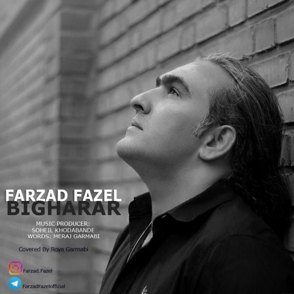 Farzad Fazel - Bi Gharar