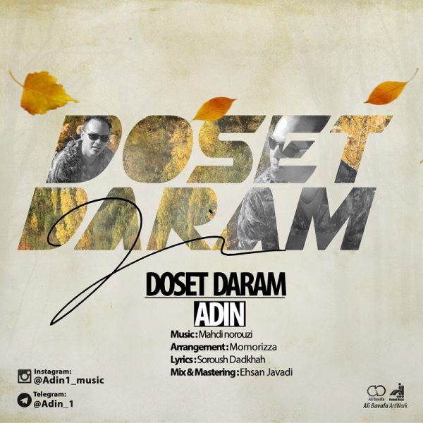 Adin - Dooset Daram