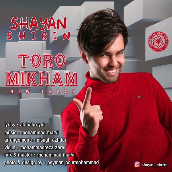 Shayan Shirin - 'Toro Mikham'
