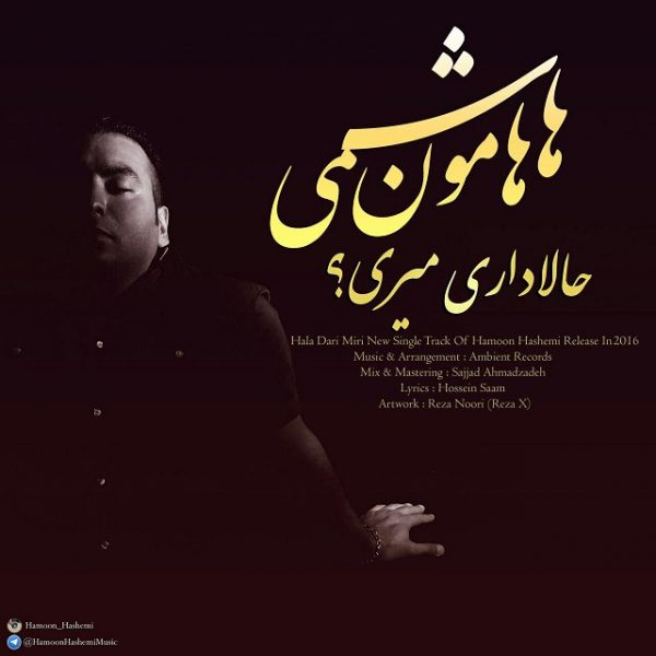 Hamoon Hashemi - 'Hala Dari Miri'