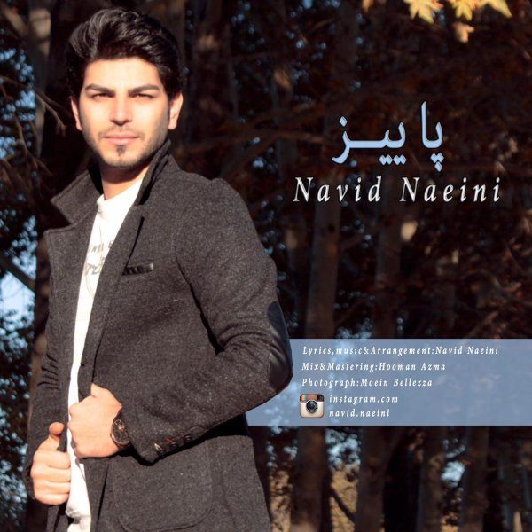 Navid Naeini - 'Paeiz'