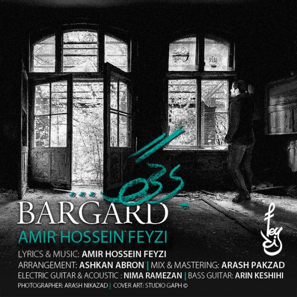 Amir Hossein Feyzi - 'Bargard'