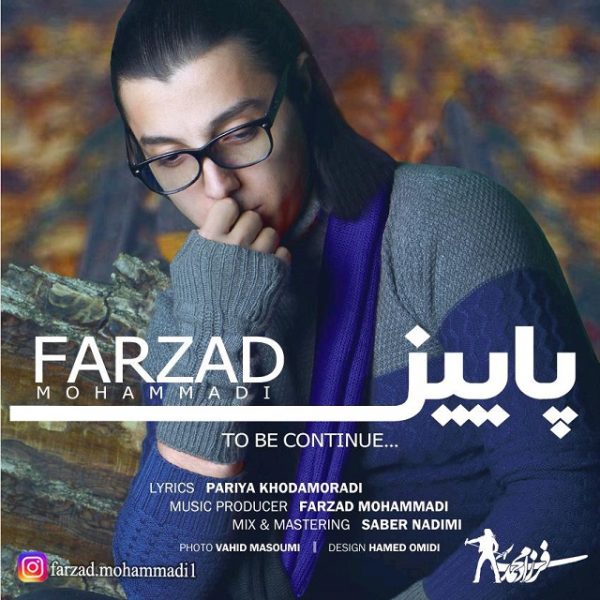 Farzad Mohammadi - Paeiz